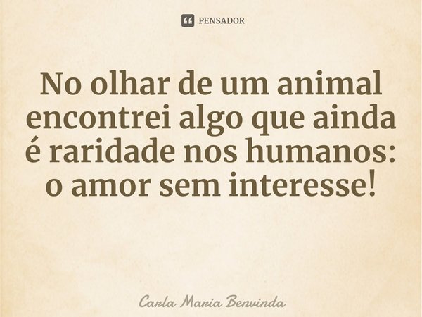 ⁠No olhar de um animal encontrei algo que ainda é raridade nos humanos: o amor sem interesse!... Frase de Carla Maria Benvinda.