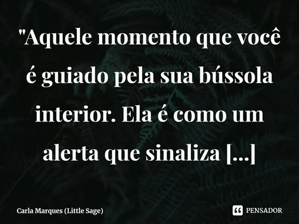 "Aquele momento que você é guiado pela sua bússola interior. Ela é como um alerta que sinaliza através das batidas do seu coração."⁠... Frase de Carla Marques (Little Sage).