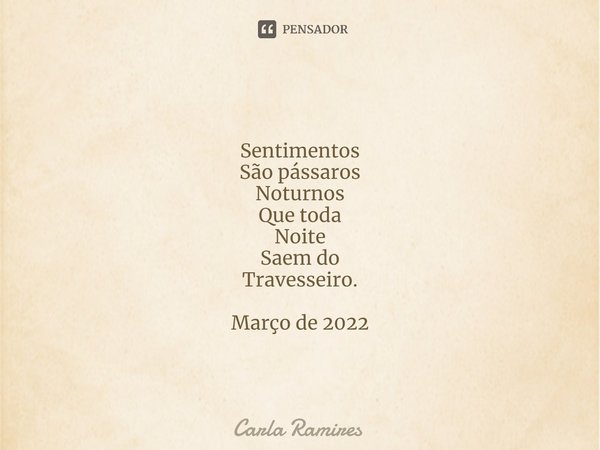 ⁠Sentimentos São pássaros Noturnos Que toda Noite Saem do Travesseiro. Março de 2022... Frase de Carla Ramires.