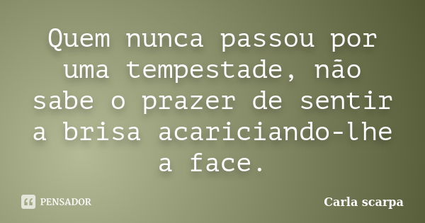 Quem nunca passou por uma tempestade, não sabe o prazer de sentir a brisa acariciando-lhe a face.... Frase de Carla scarpa.