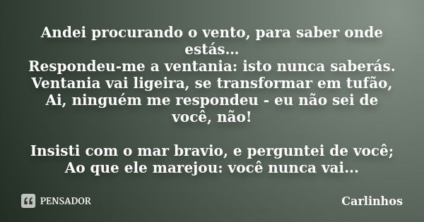 Andei procurando o vento, para saber onde estás… Respondeu-me a ventania: isto nunca saberás. Ventania vai ligeira, se transformar em tufão, Ai, ninguém me resp... Frase de Carlinhos.