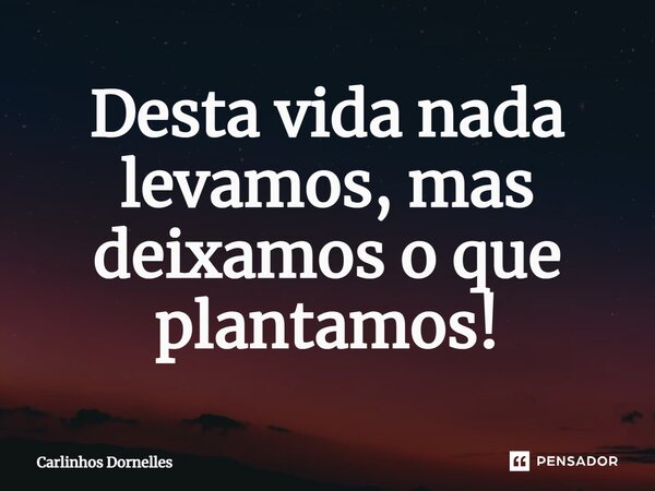 Desta vida nada levamos, mas deixamos o que plantamos!... Frase de Carlinhos Dornelles.