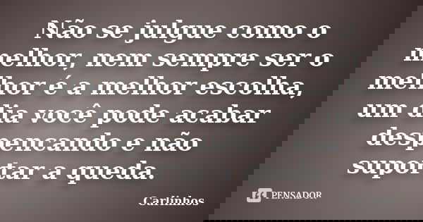 Não se julgue como o melhor, nem sempre ser o melhor é a melhor escolha, um dia você pode acabar despencando e não suportar a queda.... Frase de Carlinhos.