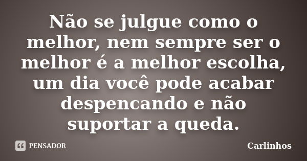 Não se julgue como o melhor, nem sempre ser o melhor é a melhor escolha, um dia você pode acabar despencando e não suportar a queda.... Frase de Carlinhos.