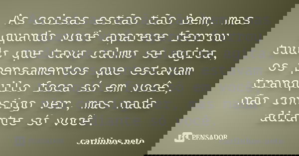 As coisas estão tão bem, mas quando você aparece ferrou tudo que tava calmo se agita, os pensamentos que estavam tranquilo foca só em você, não consigo ver, mas... Frase de Carlinhos Neto.