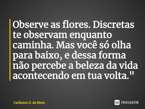 Observe as flores. Discretas te observam enquanto caminha. Mas você só olha para baixo, e dessa forma não percebe a beleza da vida acontecendo em tua volta.... Frase de Carlisson D. da Mota.