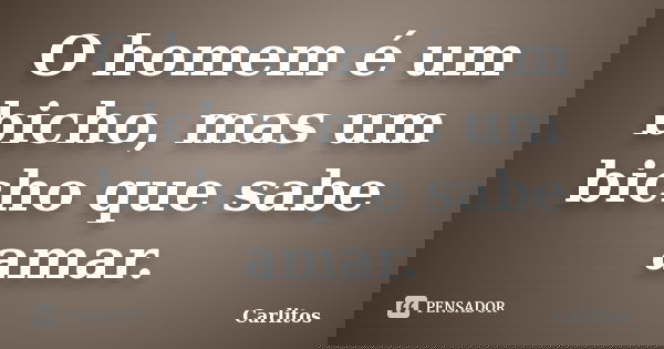 O homem é um bicho, mas um bicho que sabe amar.... Frase de carlitos.
