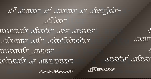 O amor é como o beija-flor quando bate as asas tem forma de infinito quando para está destinado a morrer.... Frase de Carlo Marvulli.