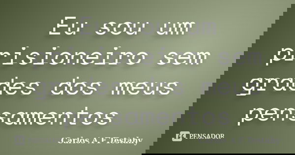 Eu sou um prisioneiro sem grades dos meus pensamentos... Frase de Carlos A F Testahy.