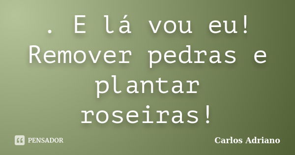 . E lá vou eu! Remover pedras e plantar roseiras!... Frase de Carlos Adriano.