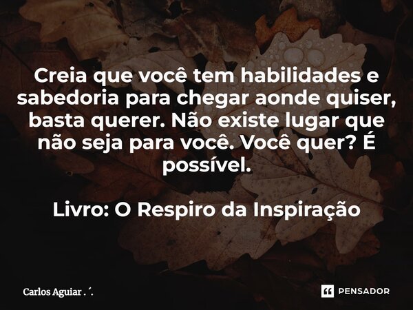 ⁠Creia que você tem habilidades e sabedoria para chegar aonde quiser, basta querer. Não existe lugar que não seja para você. Você quer? É possível. Livro: O Res... Frase de Carlos Aguiar . ..