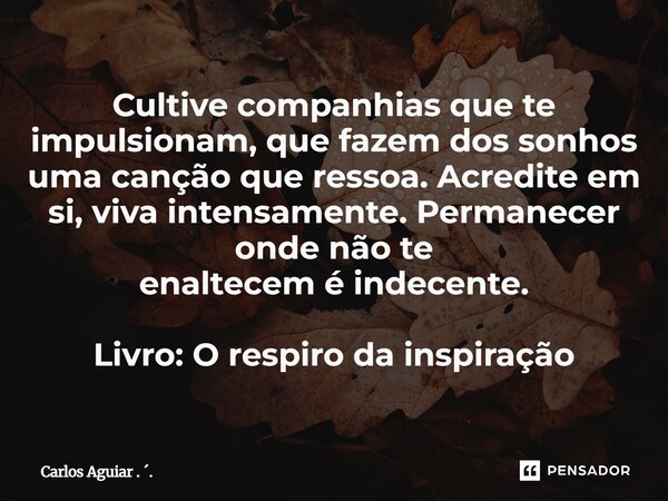 ⁠Cultive companhias que te impulsionam, que fazem dos sonhos uma canção que ressoa. Acredite em si, viva intensamente. Permanecer onde não te enaltecem é indece... Frase de Carlos Aguiar . ..
