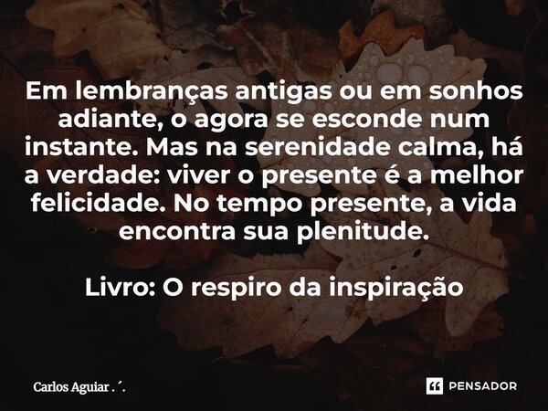Em lembranças antigas ou em sonhos adiante, o agora se esconde num instante. Mas na serenidade calma, há a verdade: viver o presente é a melhor felicidade. No ... Frase de Carlos Aguiar . ..