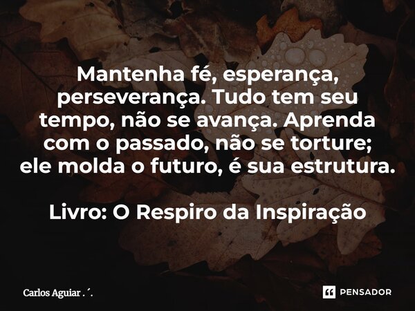 ⁠Mantenha fé, esperança, perseverança. Tudo tem seu tempo, não se avança. Aprenda com o passado, não se torture; ele molda o futuro, é sua estrutura. Livro: O R... Frase de Carlos Aguiar . ..
