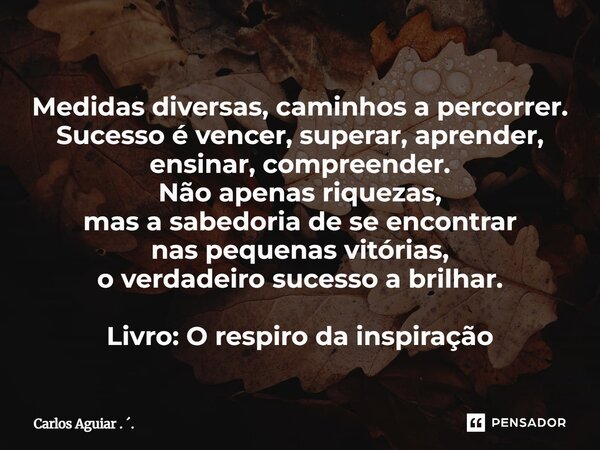 Medidas diversas, caminhos a percorrer. Sucesso é vencer, superar, aprender, ensinar, compreender. Não apenas riquezas, mas a sabedoria de se encontrar nas peq... Frase de Carlos Aguiar . ..