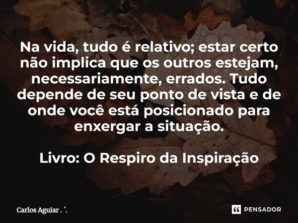 Na vida, tudo é relativo; estar certo não implica que os outros estejam, necessariamente, errados. Tudo depende de seu ponto de vista e de onde você está posic... Frase de Carlos Aguiar . ..