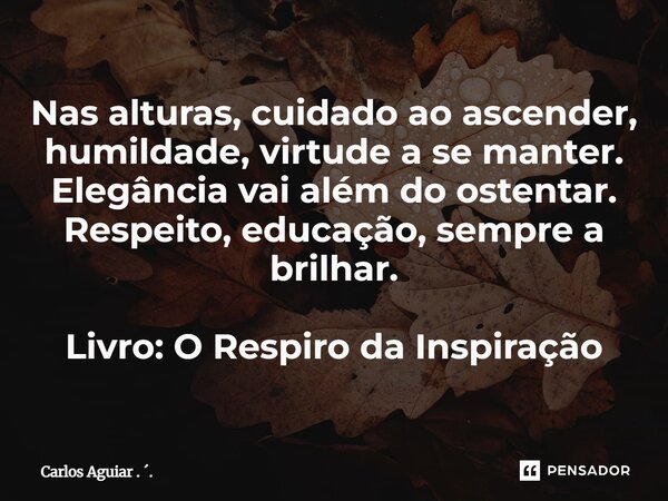 ⁠Nas alturas, cuidado ao ascender, humildade, virtude a se manter. Elegância vai além do ostentar. Respeito, educação, sempre a brilhar. Livro: O Respiro da Ins... Frase de Carlos Aguiar . ..