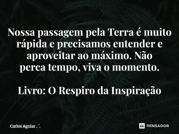 ⁠Nossa passagem pela Terra é muito rápida e precisamos entender e aproveitar ao máximo. Não perca tempo, viva o momento. Livro: O Respiro da Inspiração... Frase de Carlos Aguiar . ..