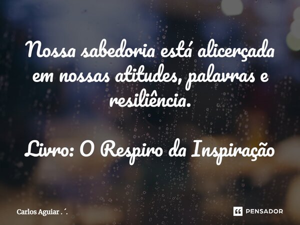 ⁠Nossa sabedoria está alicerçada em nossas atitudes, palavras e resiliência. Livro: O Respiro da Inspiração... Frase de Carlos Aguiar . ..