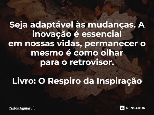 ⁠Seja adaptável às mudanças. A inovação é essencial em nossas vidas, permanecer o mesmo é como olhar para o retrovisor. Livro: O Respiro da Inspiração... Frase de Carlos Aguiar . ..