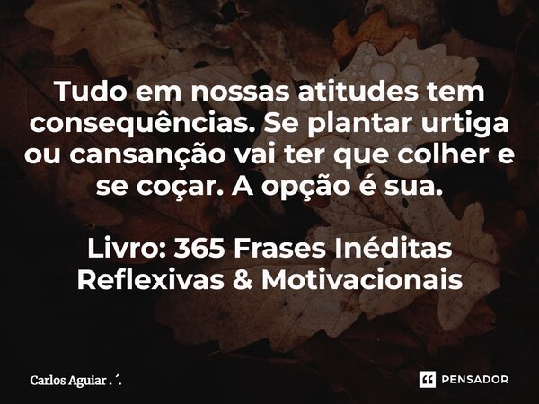 ⁠Tudo em nossas atitudes tem consequências. Se plantar urtiga ou cansanção vai ter que colher e se coçar. A opção é sua. Livro: 365 Frases Inéditas Reflexivas &... Frase de Carlos Aguiar . ..