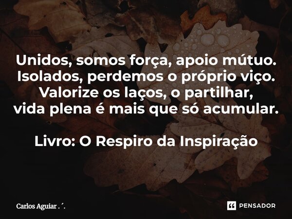 ⁠Unidos, somos força, apoio mútuo. Isolados, perdemos o próprio viço. Valorize os laços, o partilhar, vida plena é mais que só acumular. Livro: O Respiro da Ins... Frase de Carlos Aguiar . ..