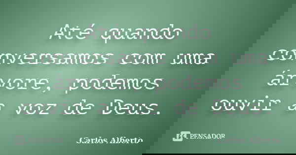 Até quando conversamos com uma árvore, podemos ouvir a voz de Deus.... Frase de CARLOS ALBERTO.