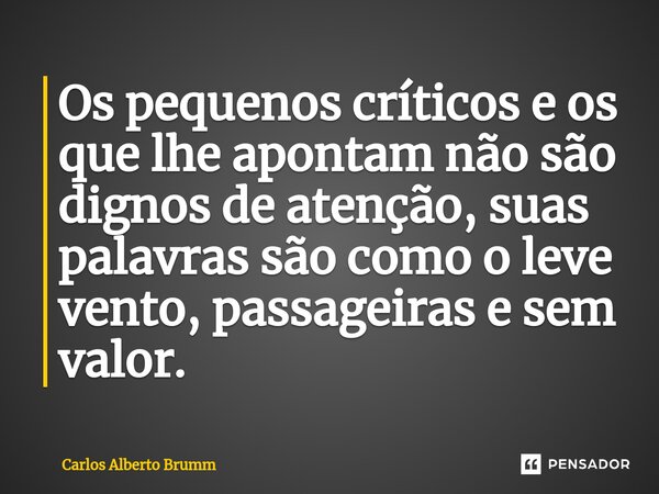 Os pequenos críticos e os que lhe apontam não são dignos de atenção, suas palavras são como o leve vento, passageiras e sem valor.... Frase de Carlos Alberto Brumm.