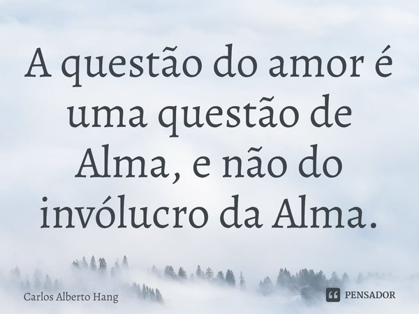 ⁠A questão do amor é uma questão de Alma, e não do invólucro da Alma.... Frase de Carlos Alberto Hang.