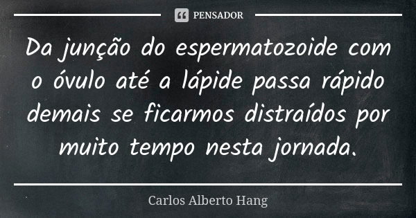 Da junção do espermatozoide com o óvulo até a lápide passa rápido demais se ficarmos distraídos por muito tempo nesta jornada.... Frase de Carlos Alberto Hang.