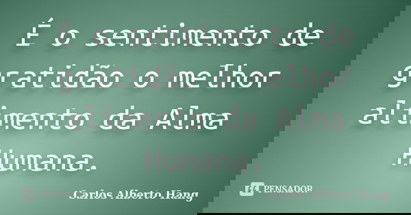 É o sentimento de gratidão o melhor alimento da Alma Humana.... Frase de Carlos Alberto Hang.
