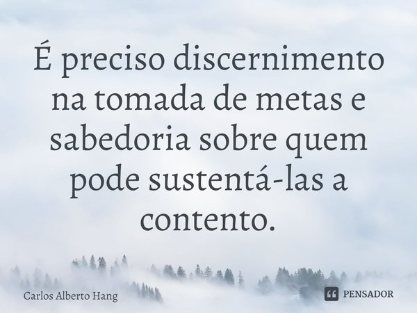 ⁠É preciso discernimento na tomada de metas e sabedoria sobre quem pode sustentá-las a contento.... Frase de Carlos Alberto Hang.