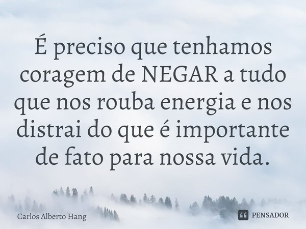 ⁠É preciso que tenhamos coragem de NEGAR a tudo que nos rouba energia e nos distrai do que é importante de fato para nossa vida.... Frase de Carlos Alberto Hang.
