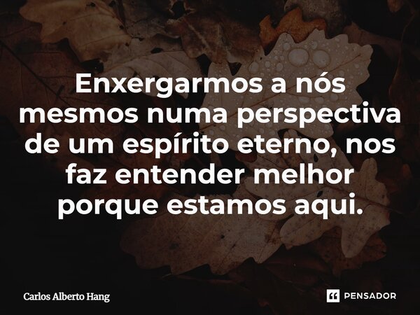 ⁠Enxergarmos a nós mesmos numa perspectiva de um espírito eterno, nos faz entender melhor porque estamos aqui.... Frase de Carlos Alberto Hang.