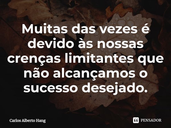 ⁠Muitas das vezes é devido às nossas crenças limitantes que não alcançamos o sucesso desejado.... Frase de Carlos Alberto Hang.