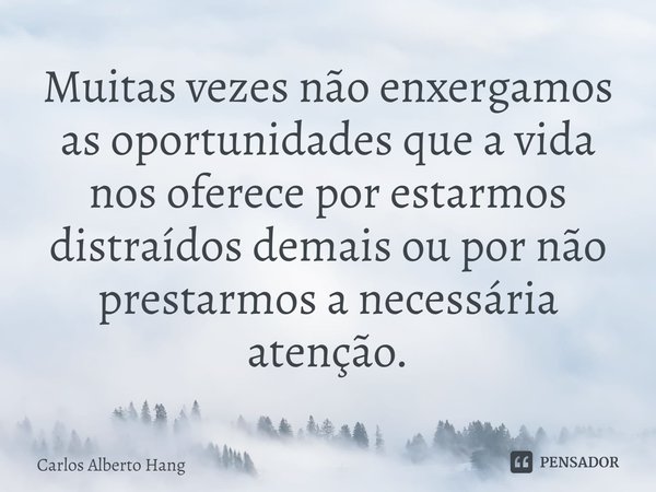 ⁠Muitas vezes não enxergamos as oportunidades que a vida nos oferece por estarmos distraídos demais ou por não prestarmos a necessária atenção.... Frase de Carlos Alberto Hang.