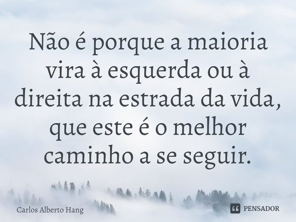 ⁠Não é porque a maioria vira à esquerda ou à direita na estrada da vida, que este é o melhor caminho a se seguir.... Frase de Carlos Alberto Hang.