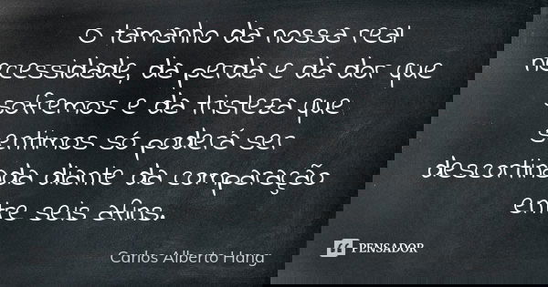 O tamanho da nossa real necessidade, da perda e da dor que sofremos e da tristeza que sentimos só poderá ser descortinada diante da comparação entre seis afins.... Frase de Carlos Alberto Hang.