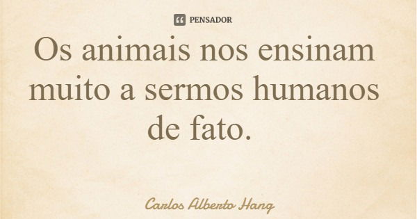 Os animais nos ensinam muito a sermos humanos de fato.... Frase de Carlos Alberto Hang.