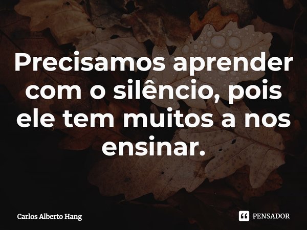 ⁠Precisamos aprender com o silêncio, pois ele tem muitos a nos ensinar.... Frase de Carlos Alberto Hang.