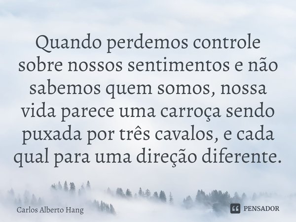 ⁠Quando perdemos controle sobre nossos sentimentos e não sabemos quem somos, nossa vida parece uma carroça sendo puxada por três cavalos, e cada qual para uma d... Frase de Carlos Alberto Hang.