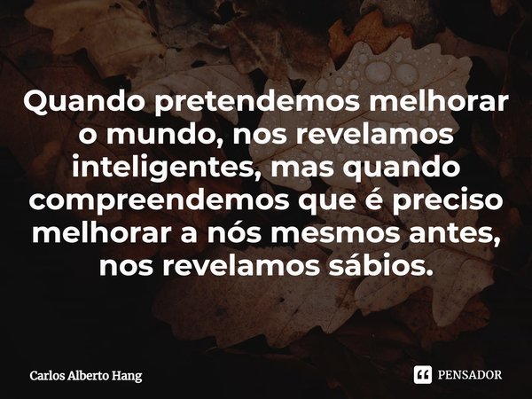 ⁠Quando pretendemos melhorar o mundo, nos revelamos inteligentes, mas quando compreendemos que é preciso melhorar a nós mesmos antes, nos revelamos sábios.... Frase de Carlos Alberto Hang.