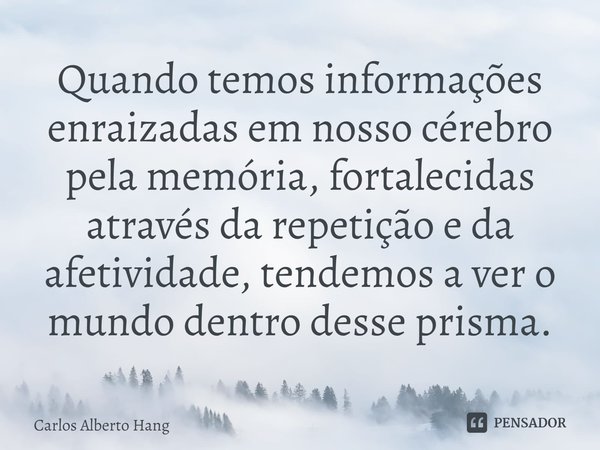 ⁠Quando temos informações enraizadas em nosso cérebro pela memória, fortalecidas através da repetição e da afetividade, tendemos a ver o mundo dentro desse pris... Frase de Carlos Alberto Hang.