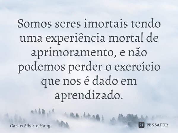 ⁠Somos seres imortais tendo uma experiência mortal de aprimoramento, e não podemos perder o exercício que nos é dado em aprendizado.... Frase de Carlos Alberto Hang.