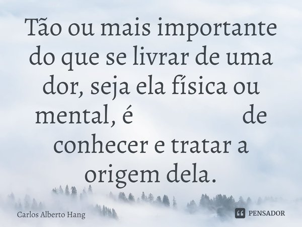 ⁠Tão ou mais importante do que se livrar de uma dor, seja ela física ou mental, é de conhecer e tratar a origem dela.... Frase de Carlos Alberto Hang.