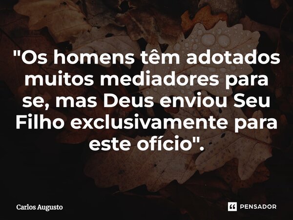 ⁠"Os homens têm adotados muitos mediadores para se, mas Deus enviou Seu Filho exclusivamente para este ofício".... Frase de carlos augusto.