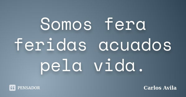 Somos fera feridas acuados pela vida.... Frase de Carlos Avila.