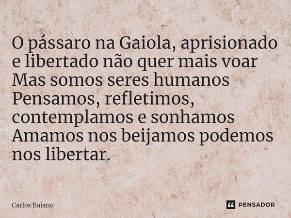 ⁠O pássaro na Gaiola, aprisionado e libertado não quer mais voar Mas somos seres humanos Pensamos, refletimos, contemplamos e sonhamos Amamos nos beijamos podem... Frase de Carlos Baiano.