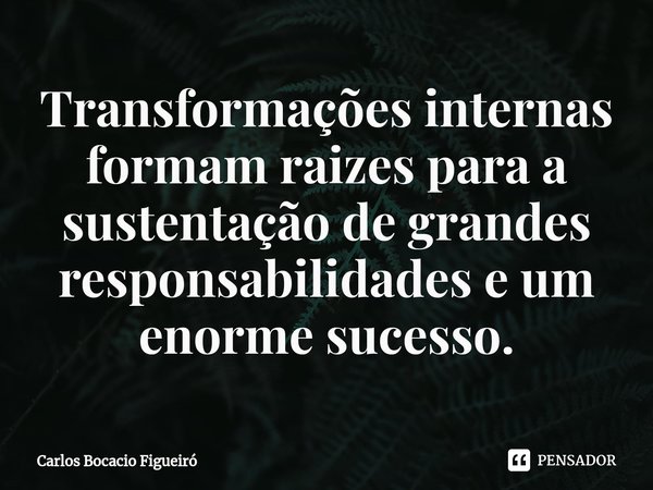 ⁠Transformações internas formam raizes para a sustentação de grandes responsabilidades e um enorme sucesso.... Frase de Carlos Bocacio Figueiró.