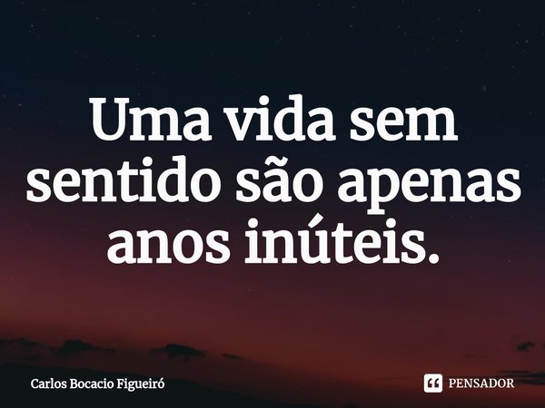 ⁠Uma vida sem sentido são apenas anos inúteis.... Frase de Carlos Bocacio Figueiró.